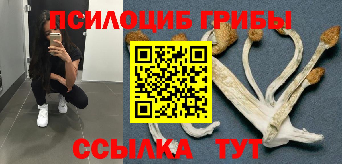 Псилоцибиновые грибы GOLDEN TEACHER Десногорск