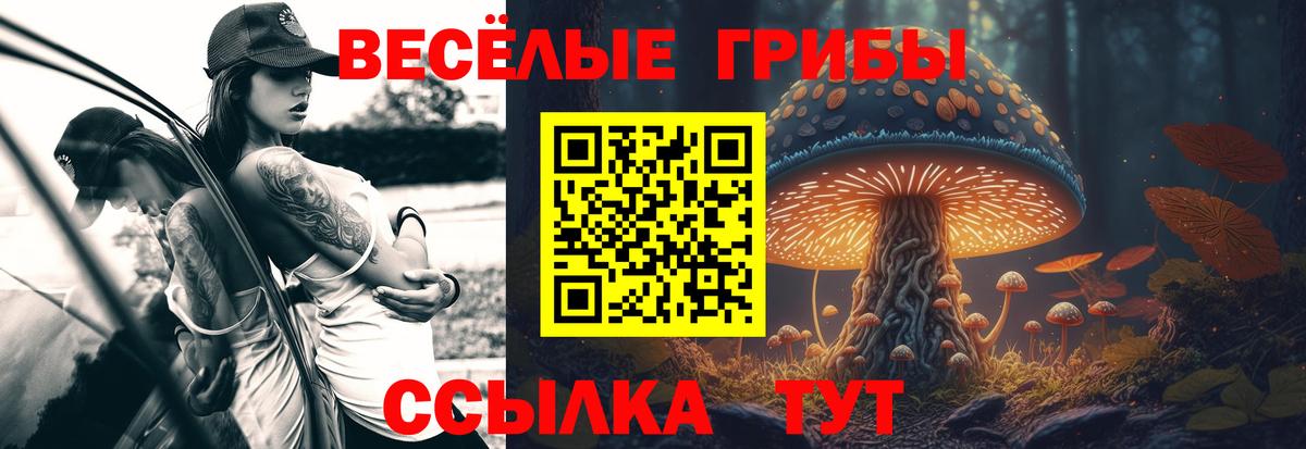 Десногорск  Галлюциногенные грибы прущие грибы  Вход с VPN 